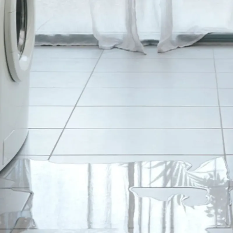 Appliance Leak Cleanup in Almont, MI