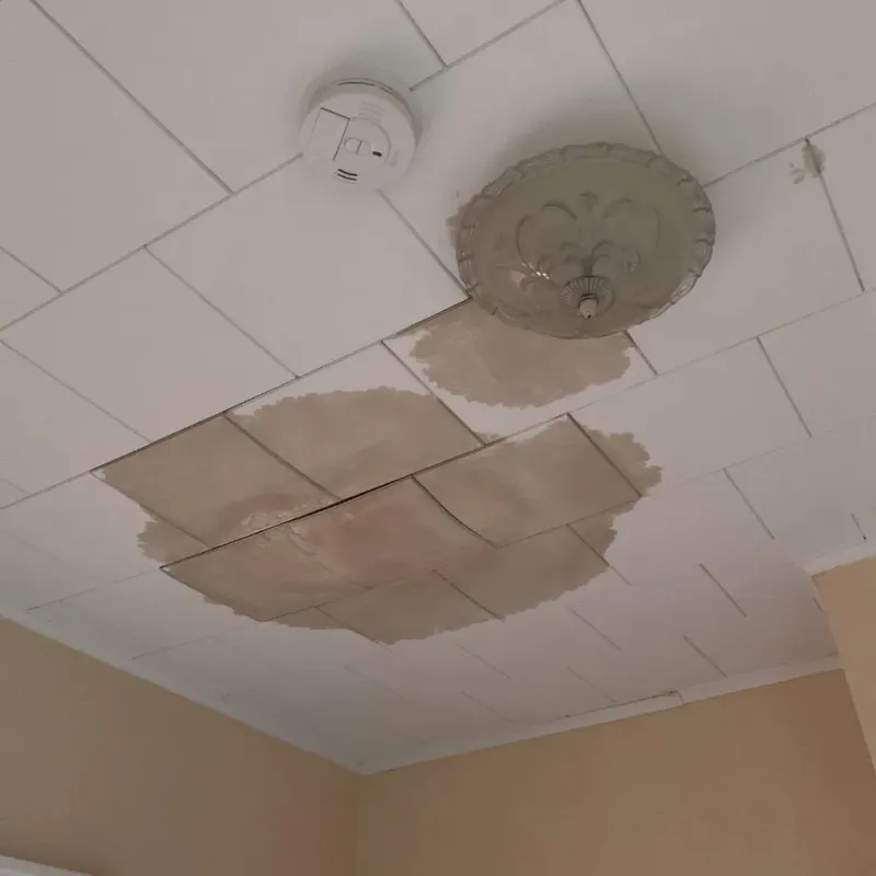 Ceiling Water Damage Repair in Almont, MI