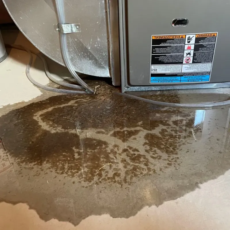 Pipe Burst and Leak Restoration in Almont, MI