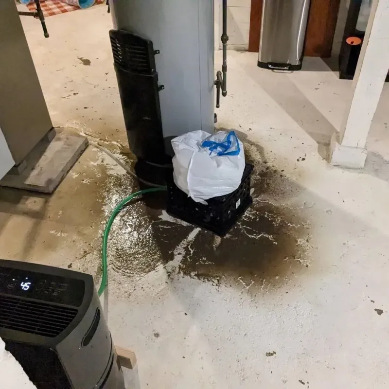 Sewage Backup Cleanup Service in Almont, MI